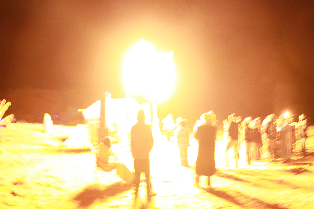 Just Another Desert Party 2 Anml Vgtbl Mnml